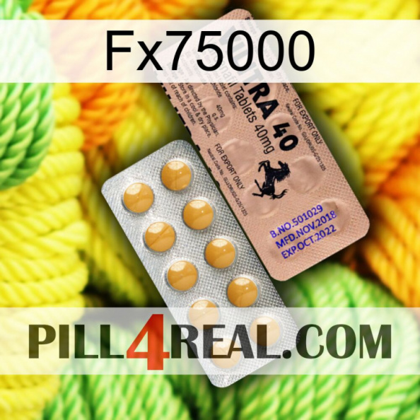 Fx75000 41